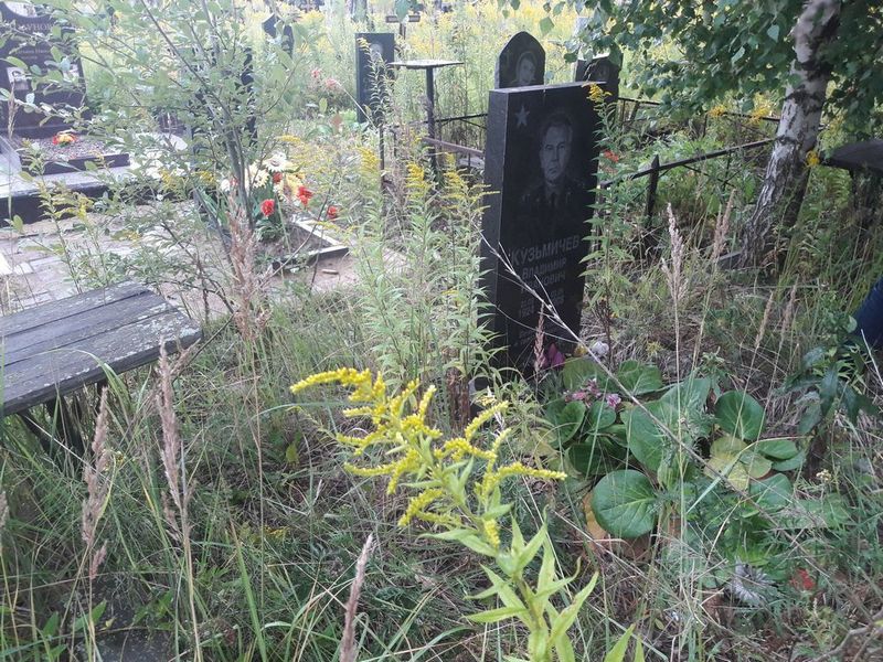 Кузьмичев Владимир Иванович