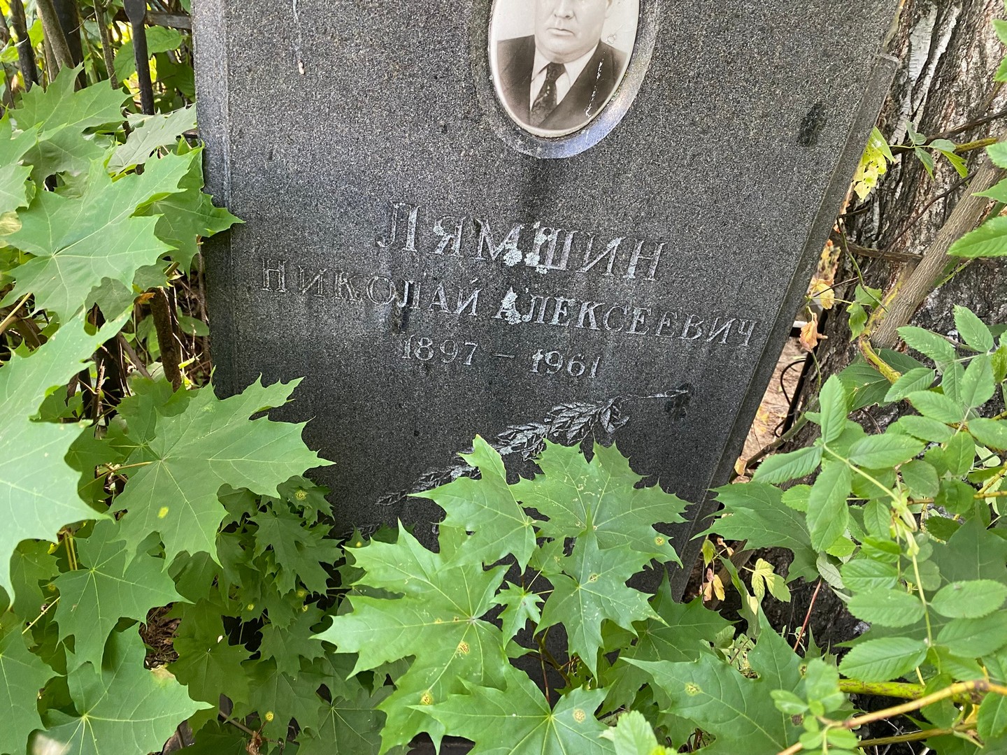 Лямшин