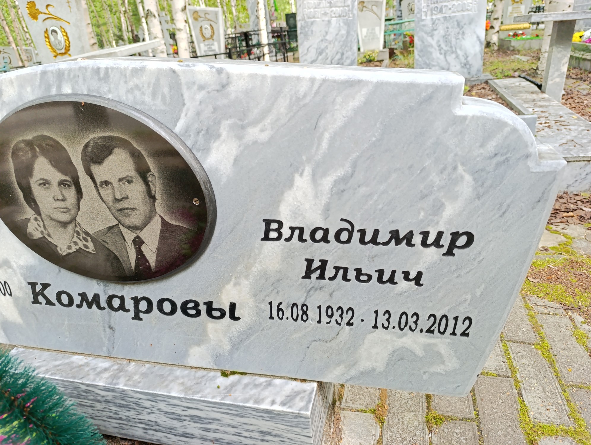 Комаров Владимир Ильич