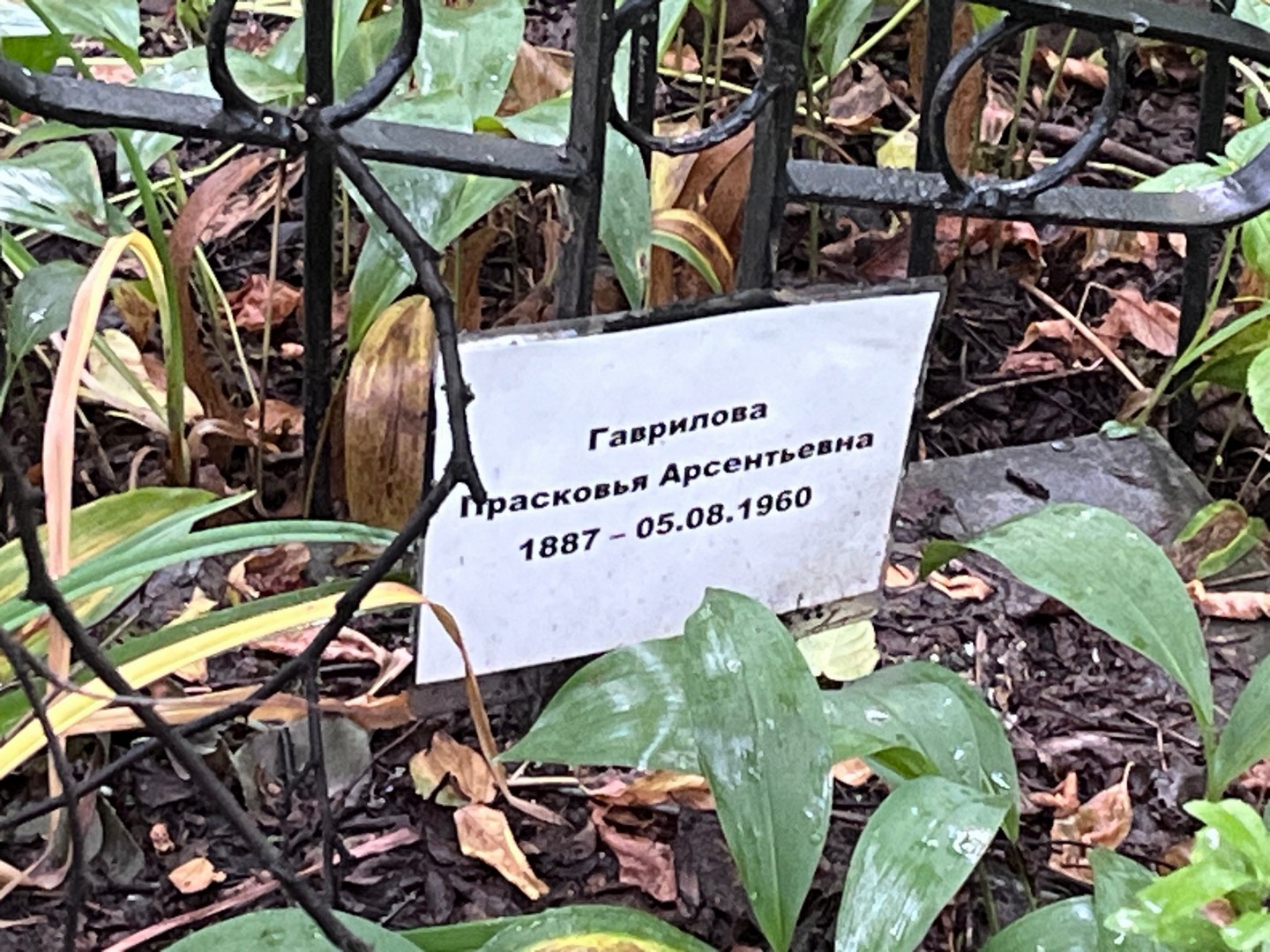 Гаврилова Прасковья Арсентьевна