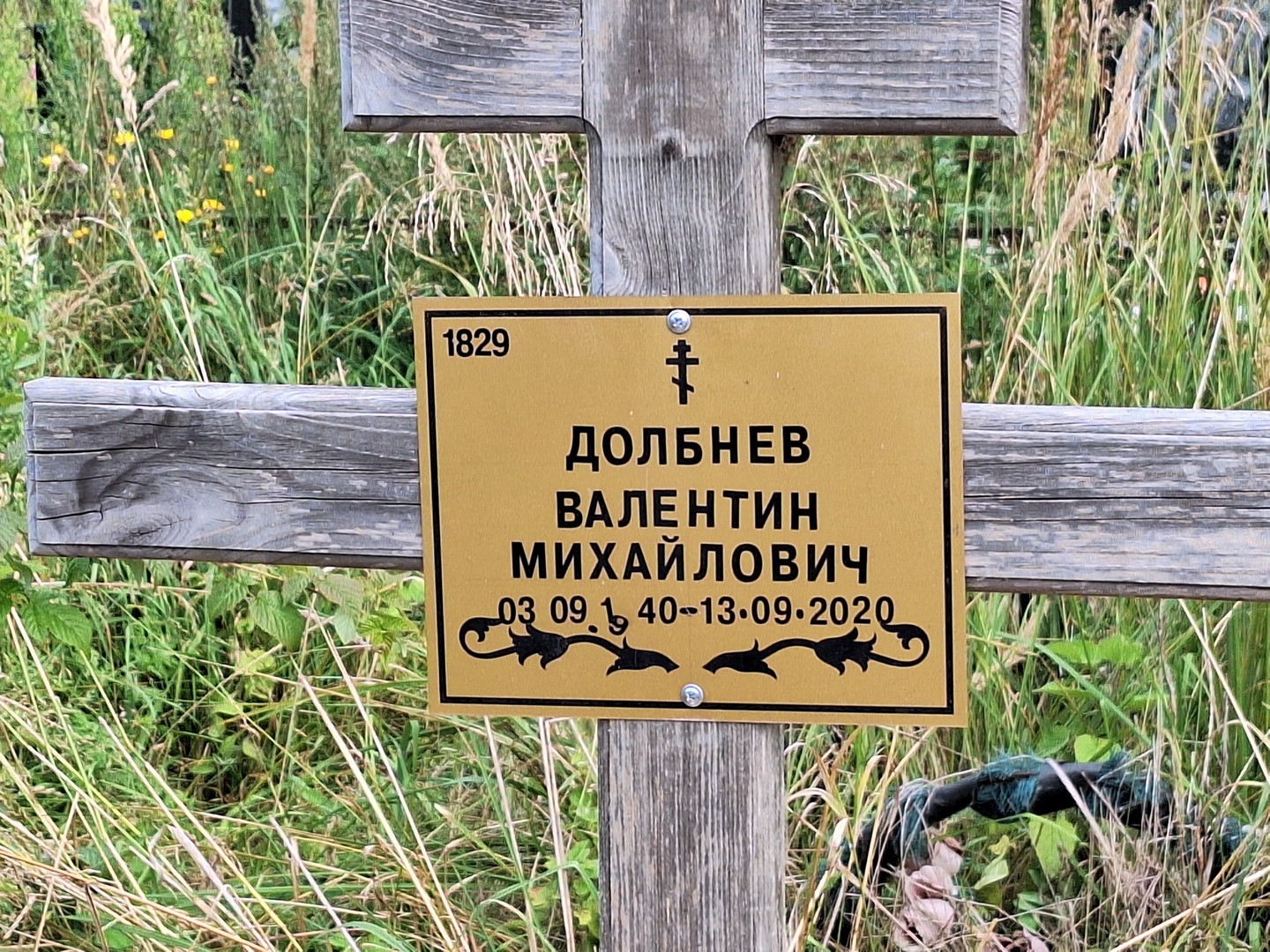 Долбнев