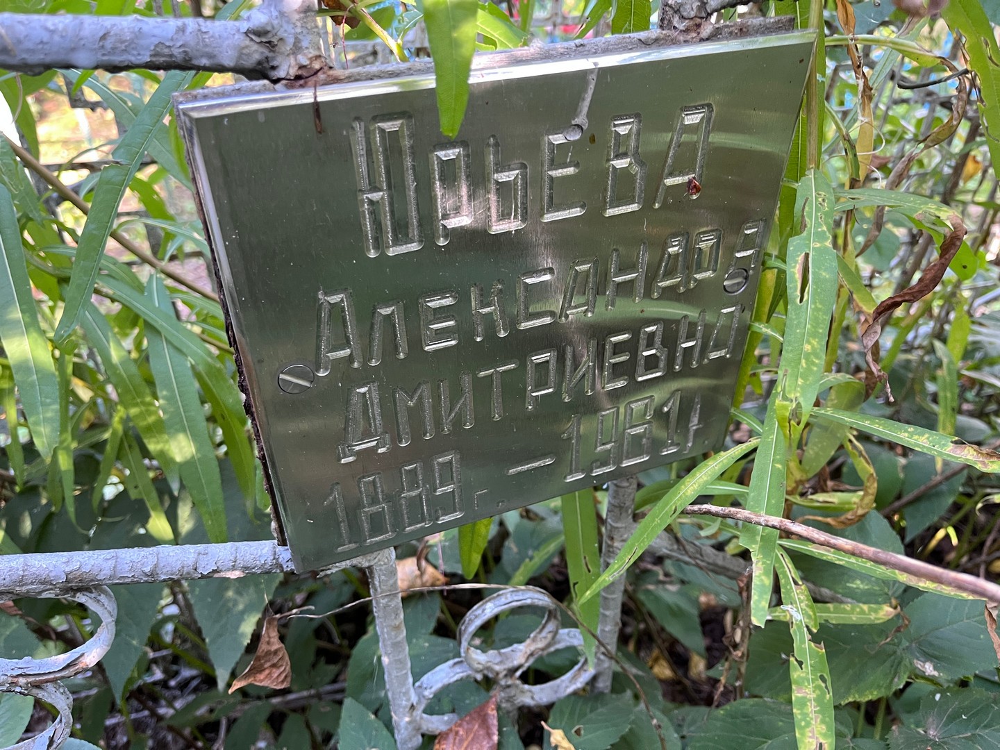 Юрьева Александра Дмитриевна