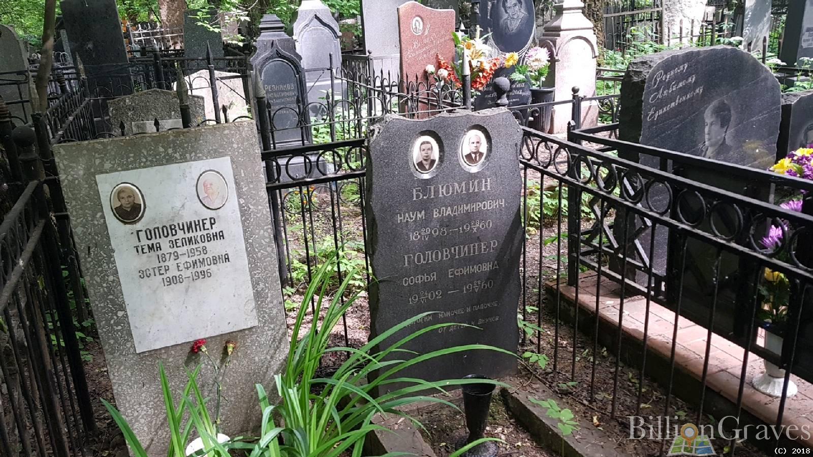 Головчинер Софья Ефимовна