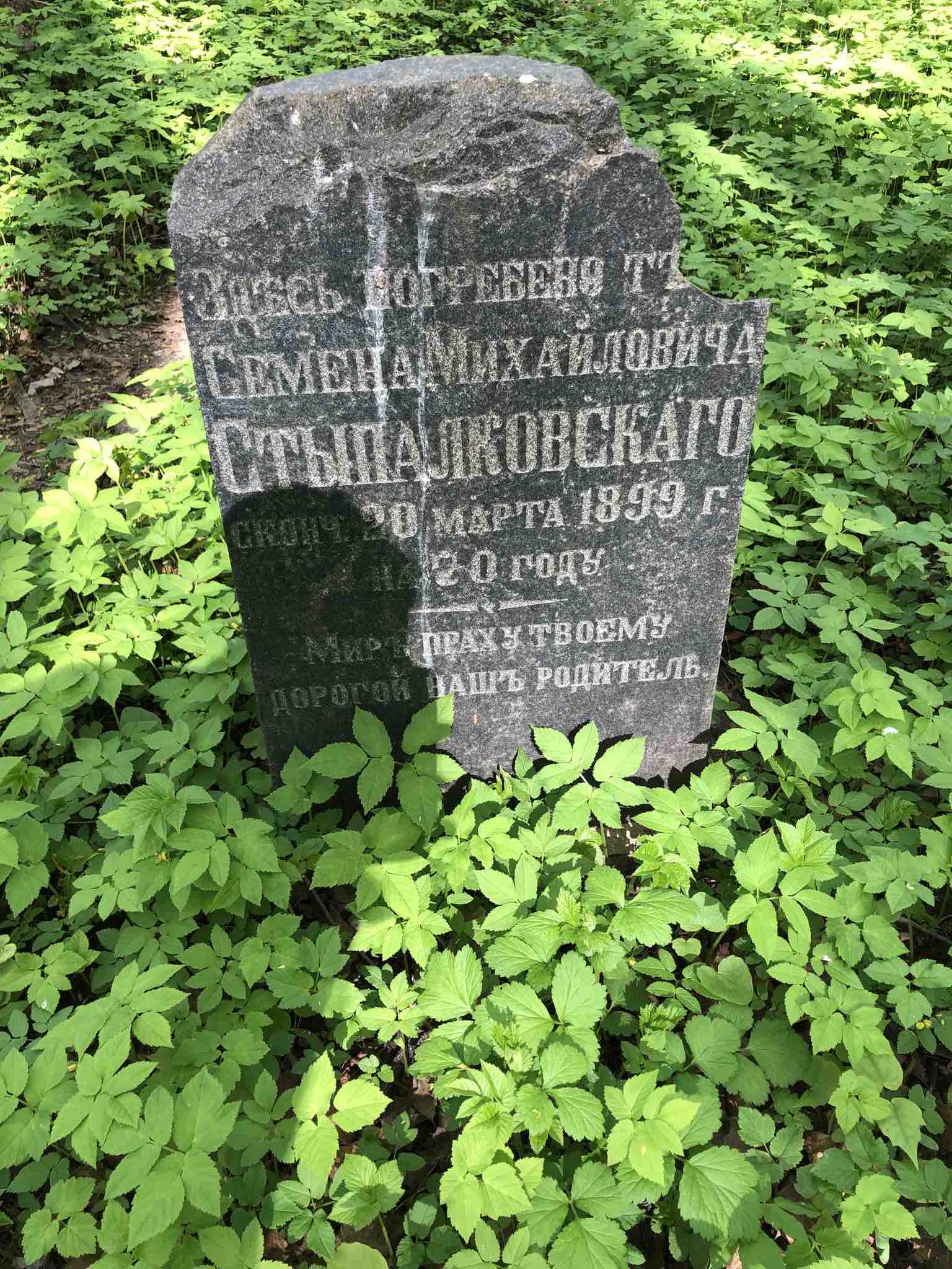 Стыпалковский Семёнъ Михайловичъ