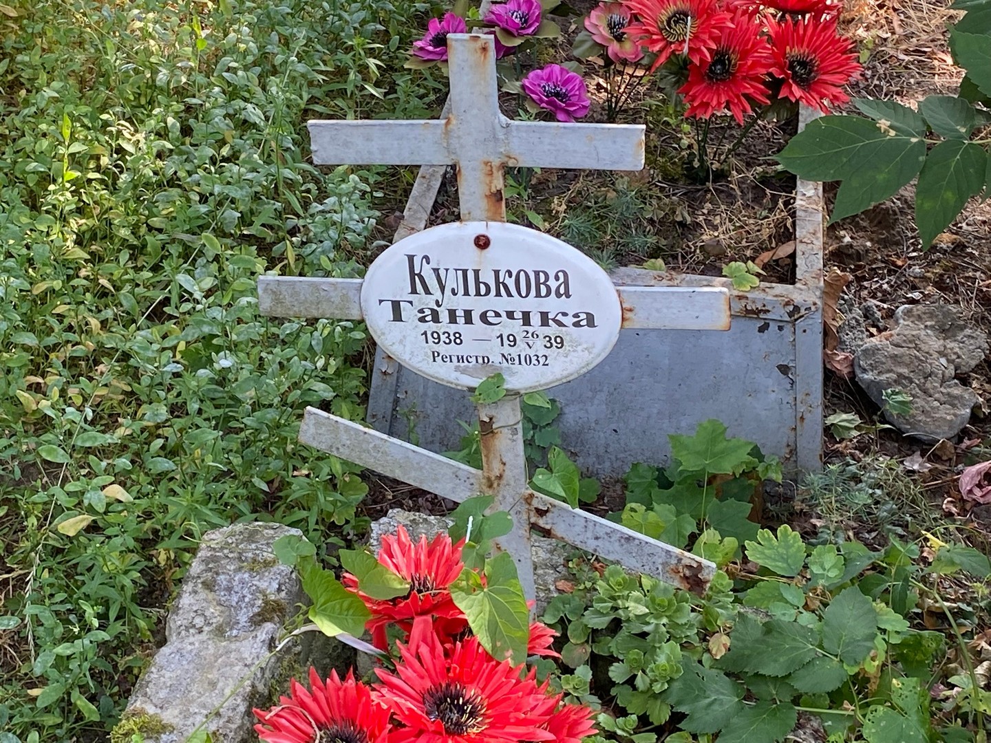 Кулькова Кулькова