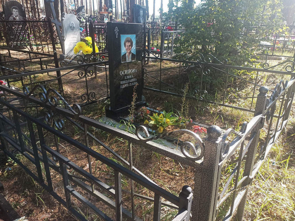 Осипова Елена Николаевна