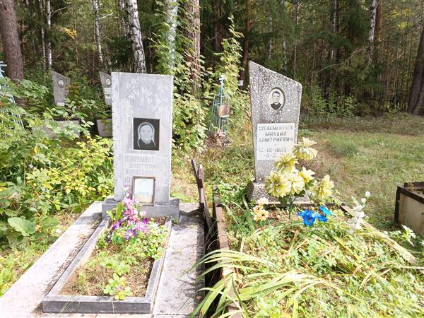 Шелементьев Михаил Дмитриевич