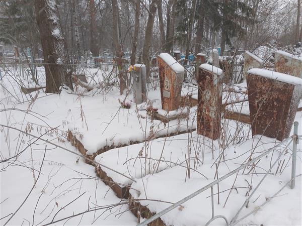 Войнакова Любовь Ермолаевна