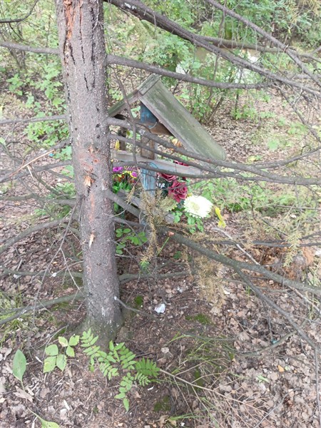 Волкова Танечка