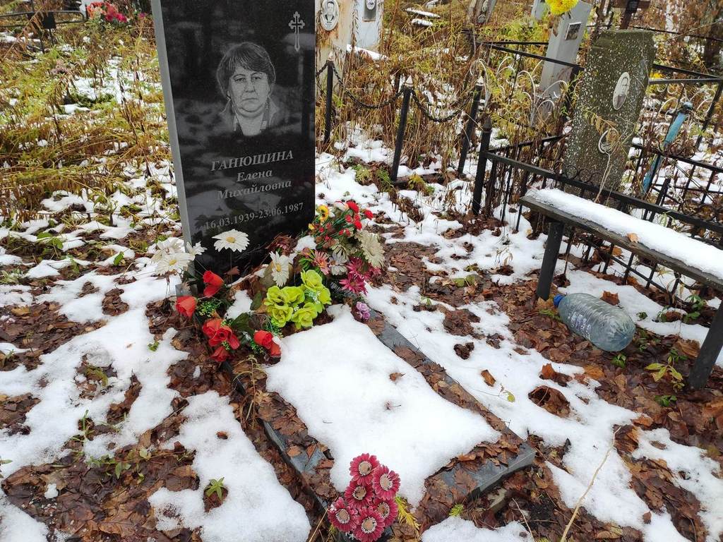 Ганюшина Елена Михайловна