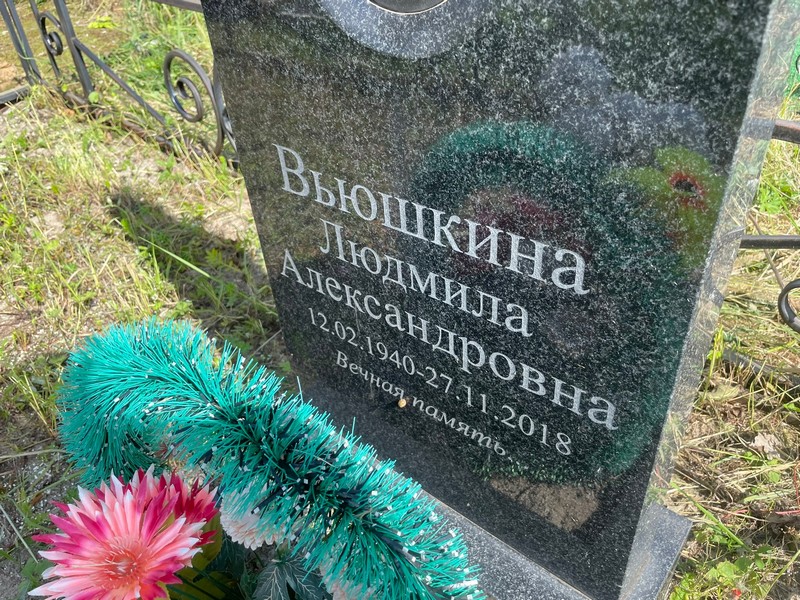 Вьюшкина