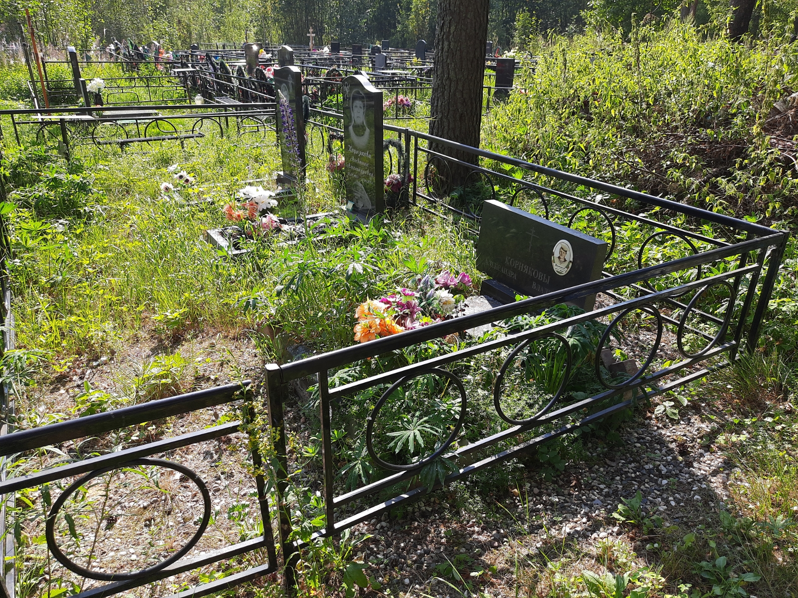 Корнякова Алевтина Александровна