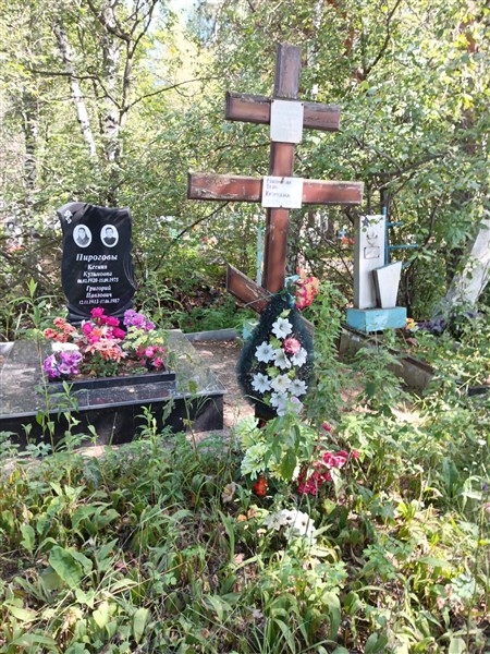 Мясников Александр Николаевич