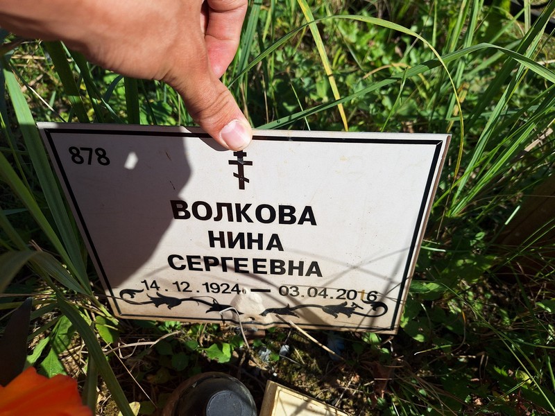 Волкова