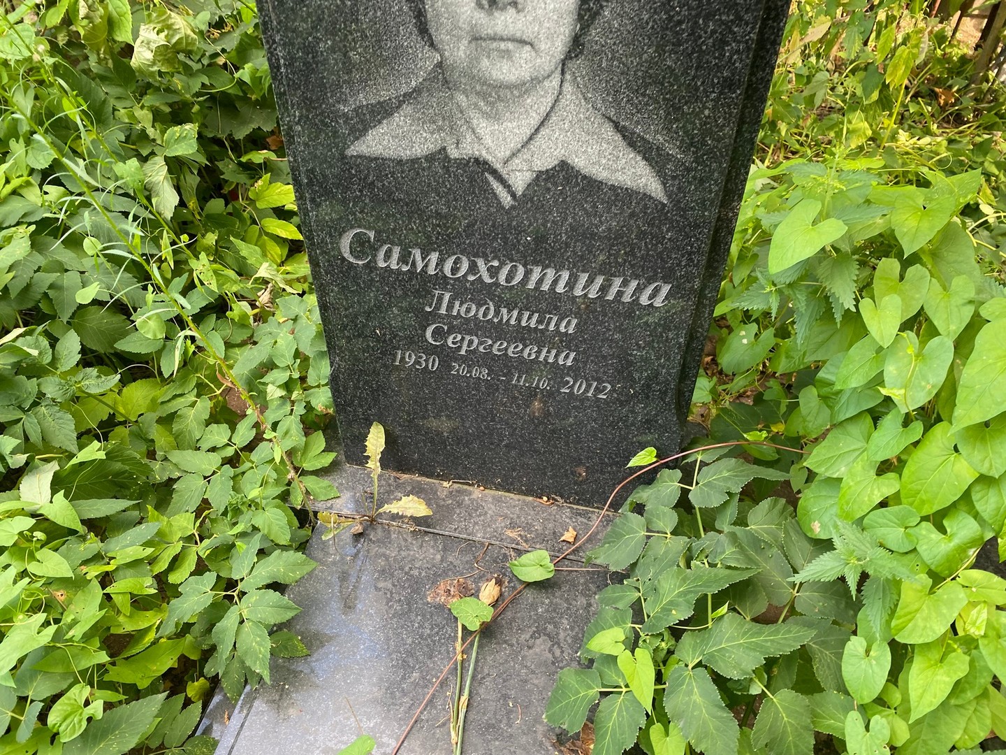 Самохотина