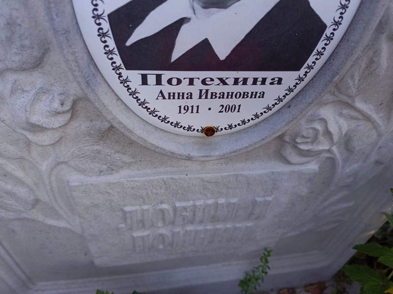 Потехина