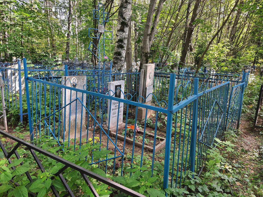 Тюкалкин Николай Юрьевич