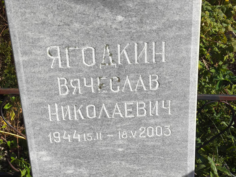 Ягодкин