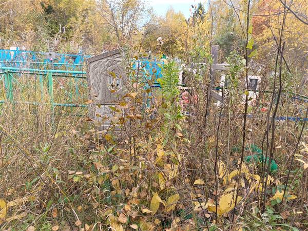 Домчук Александр Яковлевич