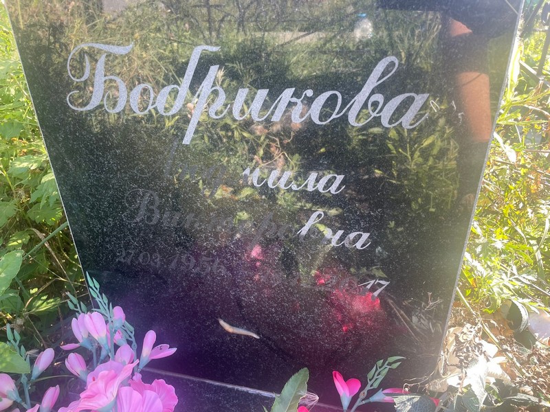 Бобрикова
