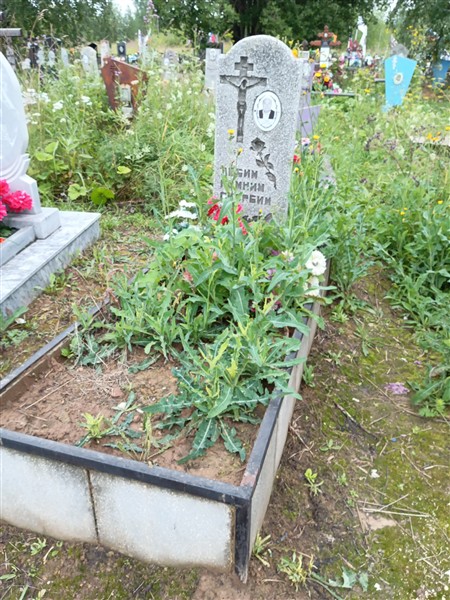 Гора Иван Иванович