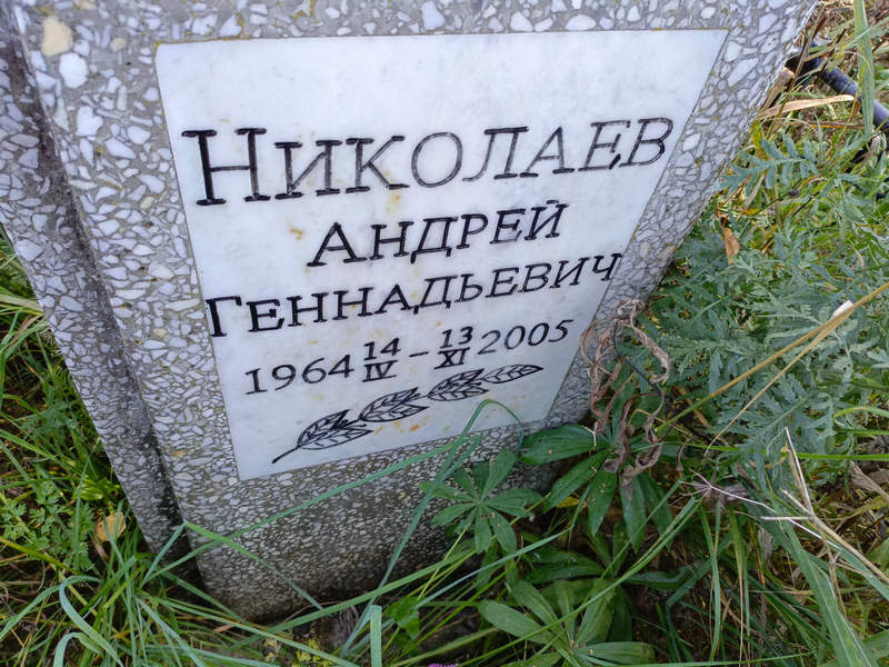 Николаев
