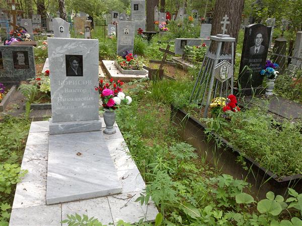 Борисов Виктор Николаевич