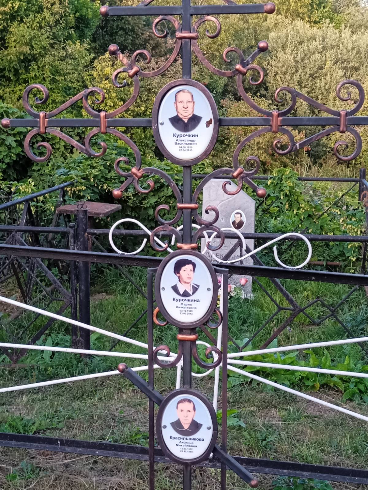 Курочкина Мария Николаевна