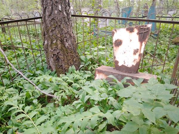Свечникова Евдокия Т.