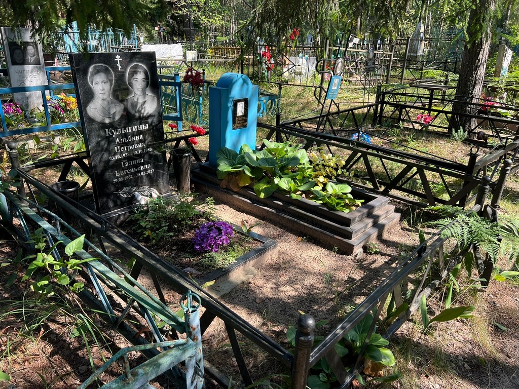 Кулыгина Альбина Петровна