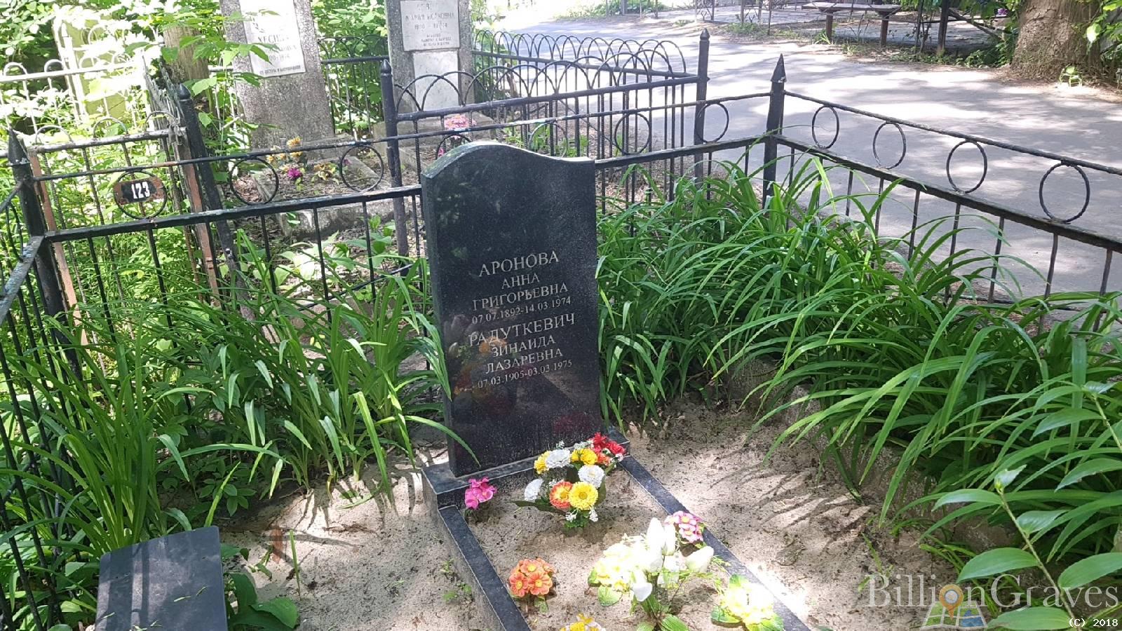 аронова анна григорьевна