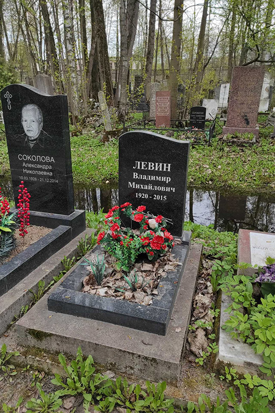 Левин Владимир Михайлович