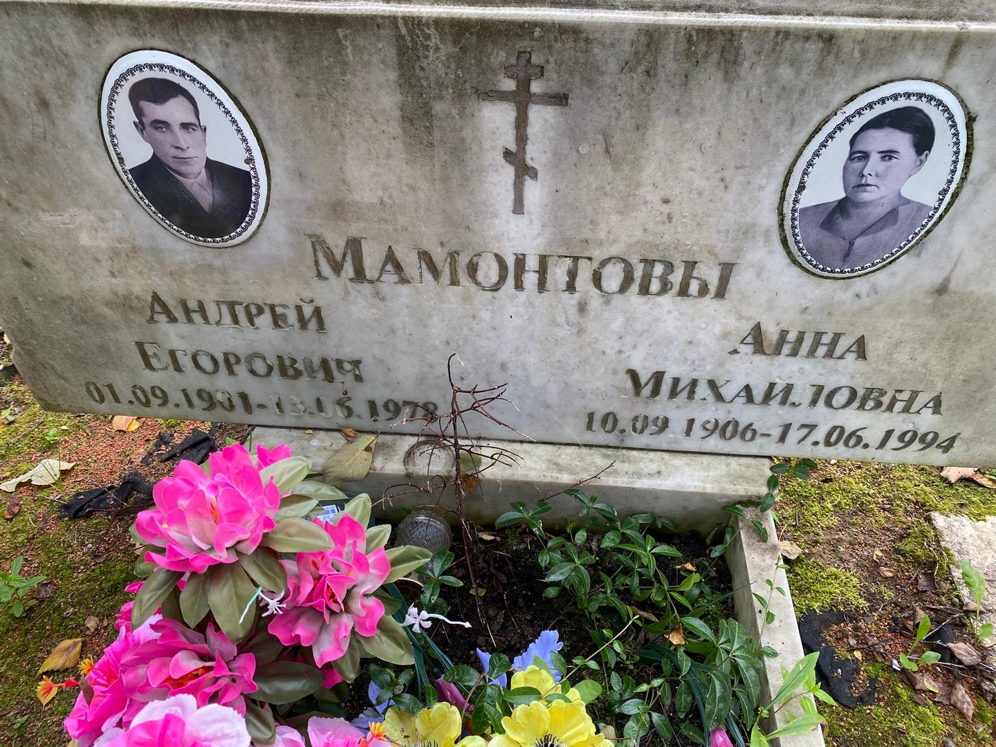Мамонтов