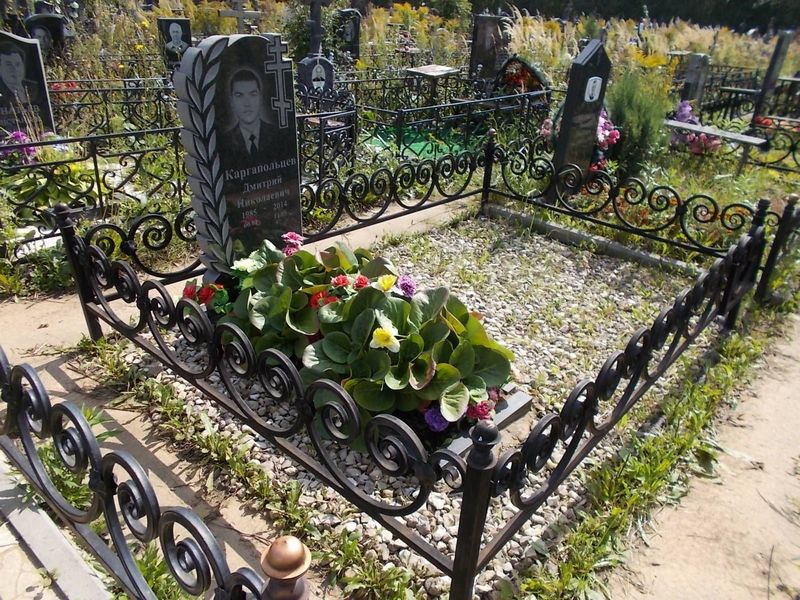 Каргапольцев Дмитрий Николаевич