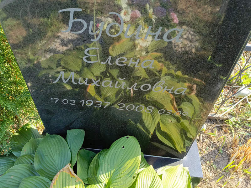 Будина