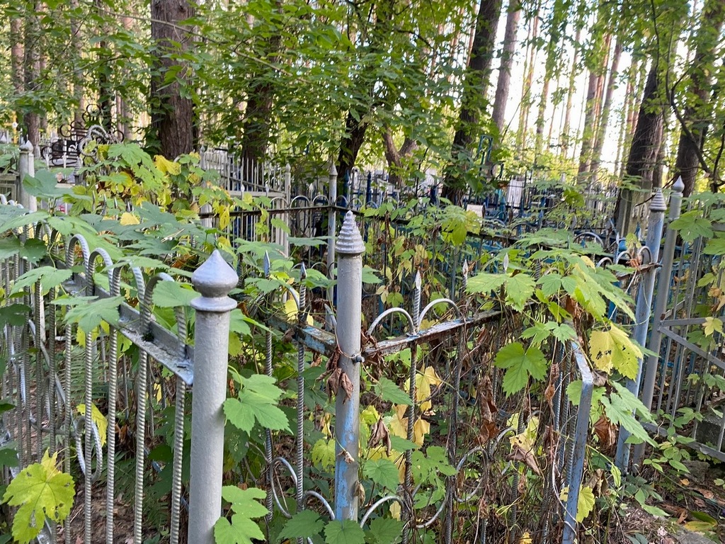 Петрова Софья Калистратовна