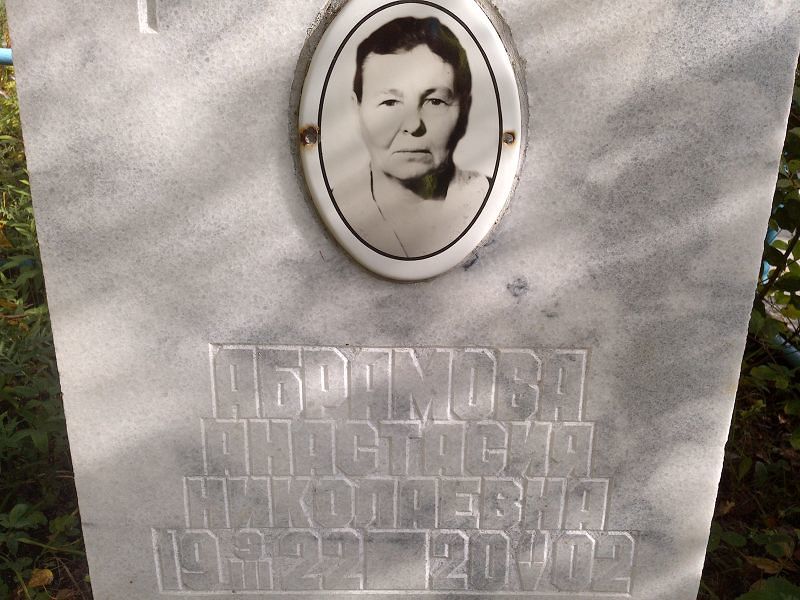 Абрамова Анастасия Николаевна