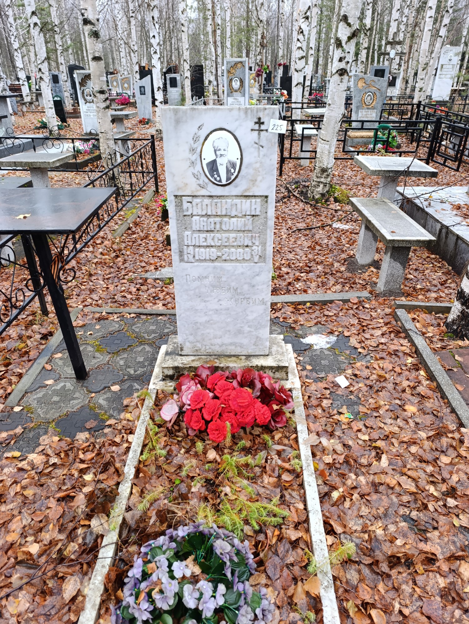 Баландин Анатолий Алексеевич