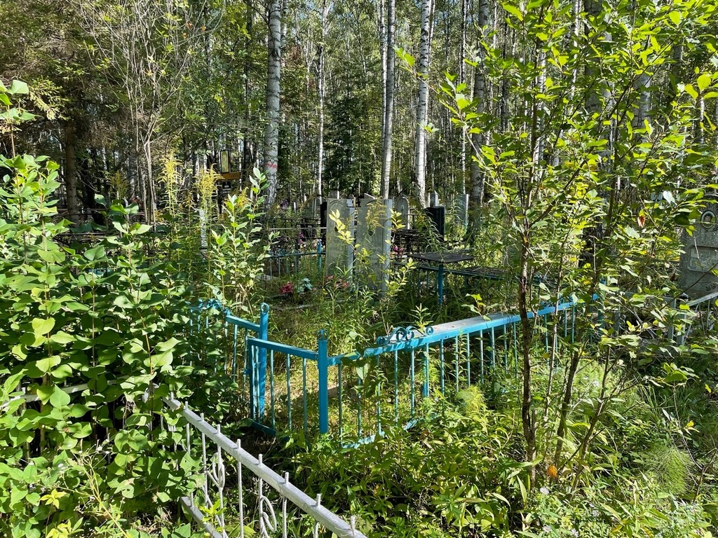 Стеньшина Вера Тимофеевна