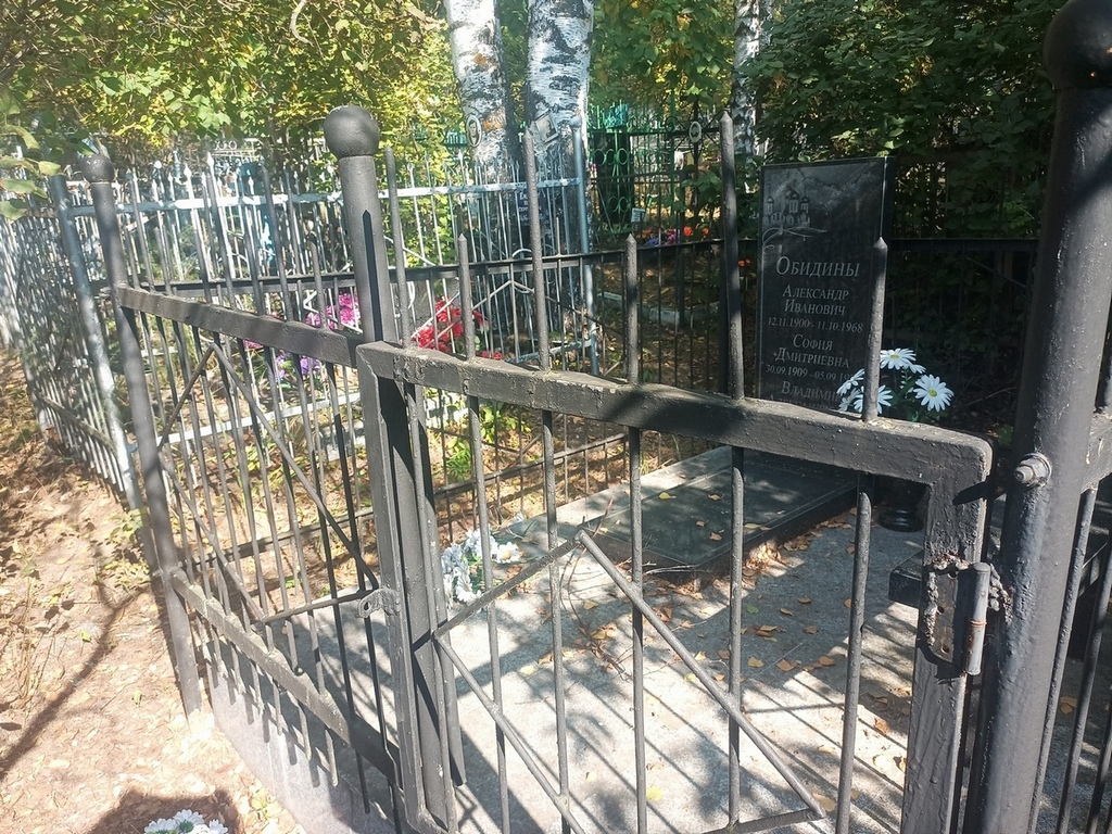 Обидин Александр Иванович