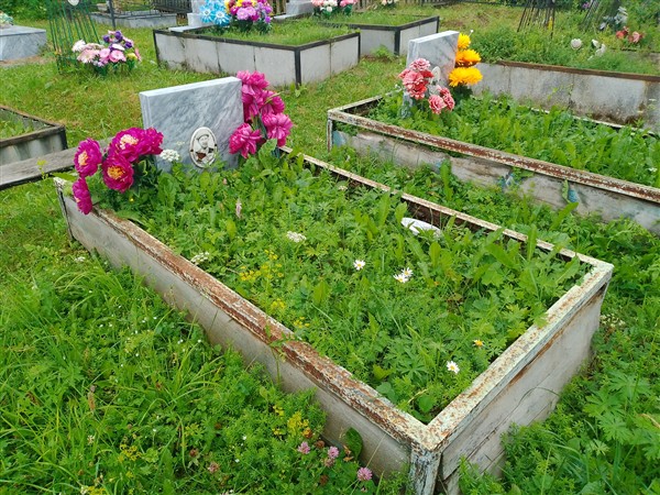 Домнин Семёнович