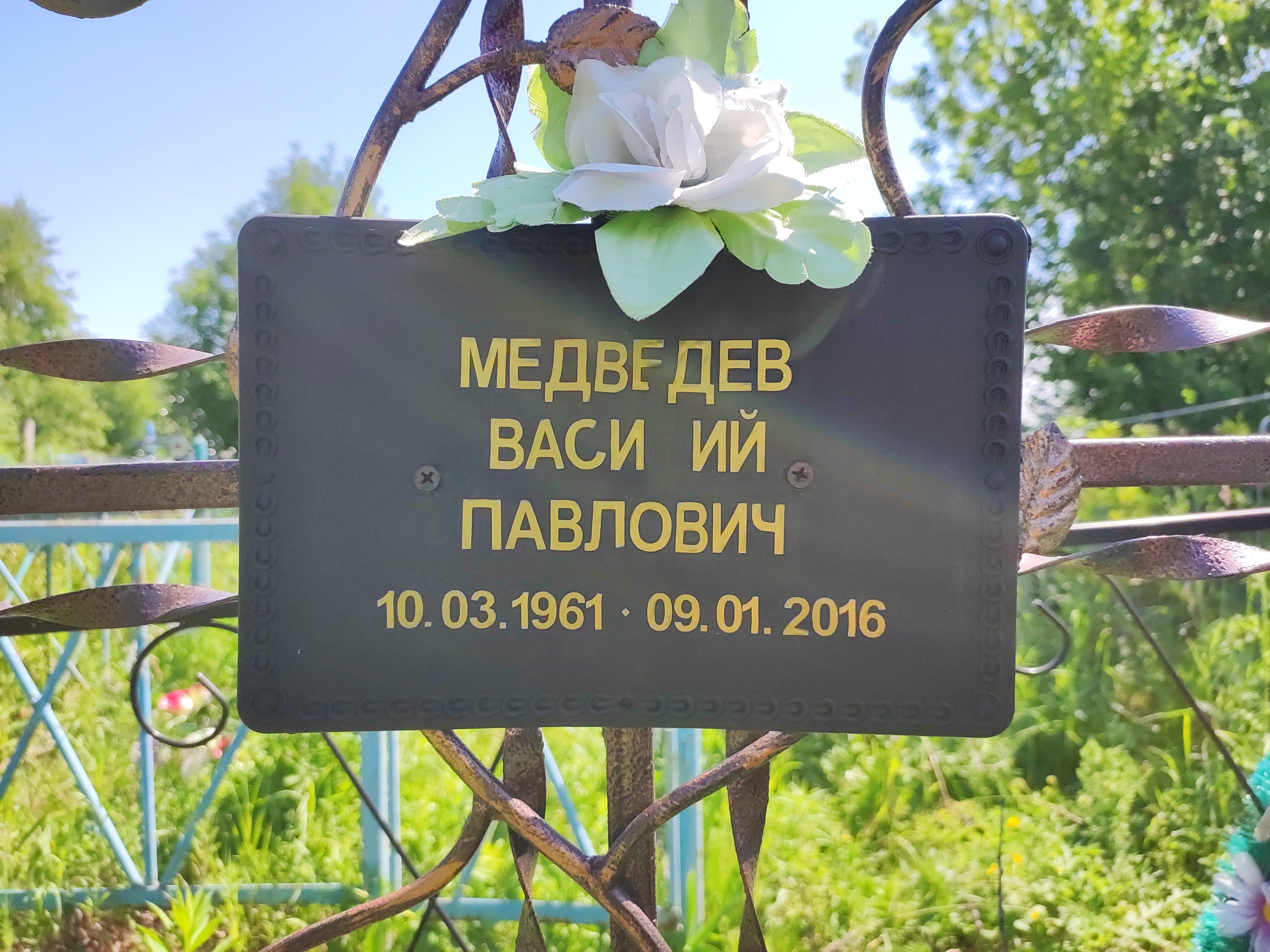 Медведев Василий Павлович