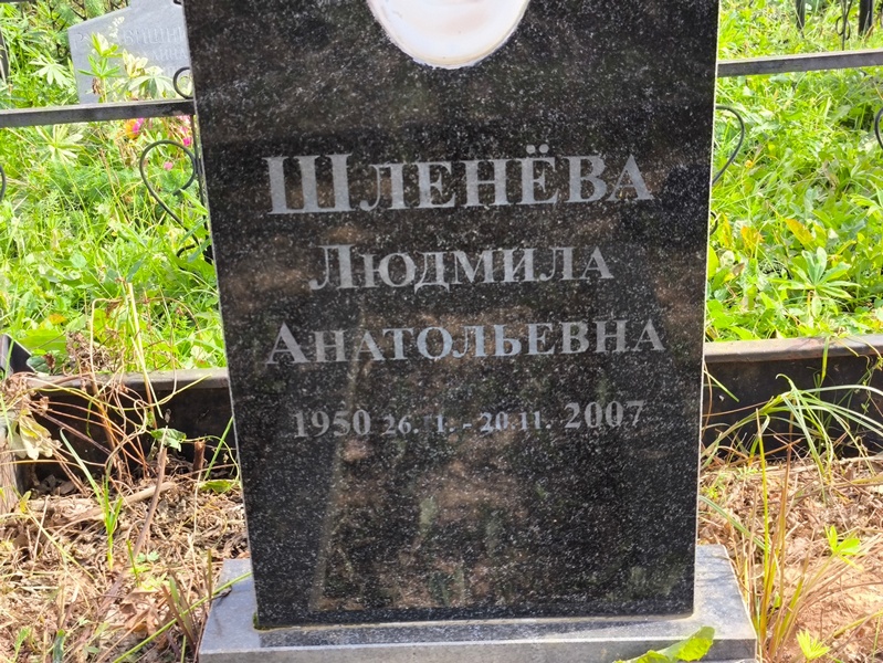 Шленева