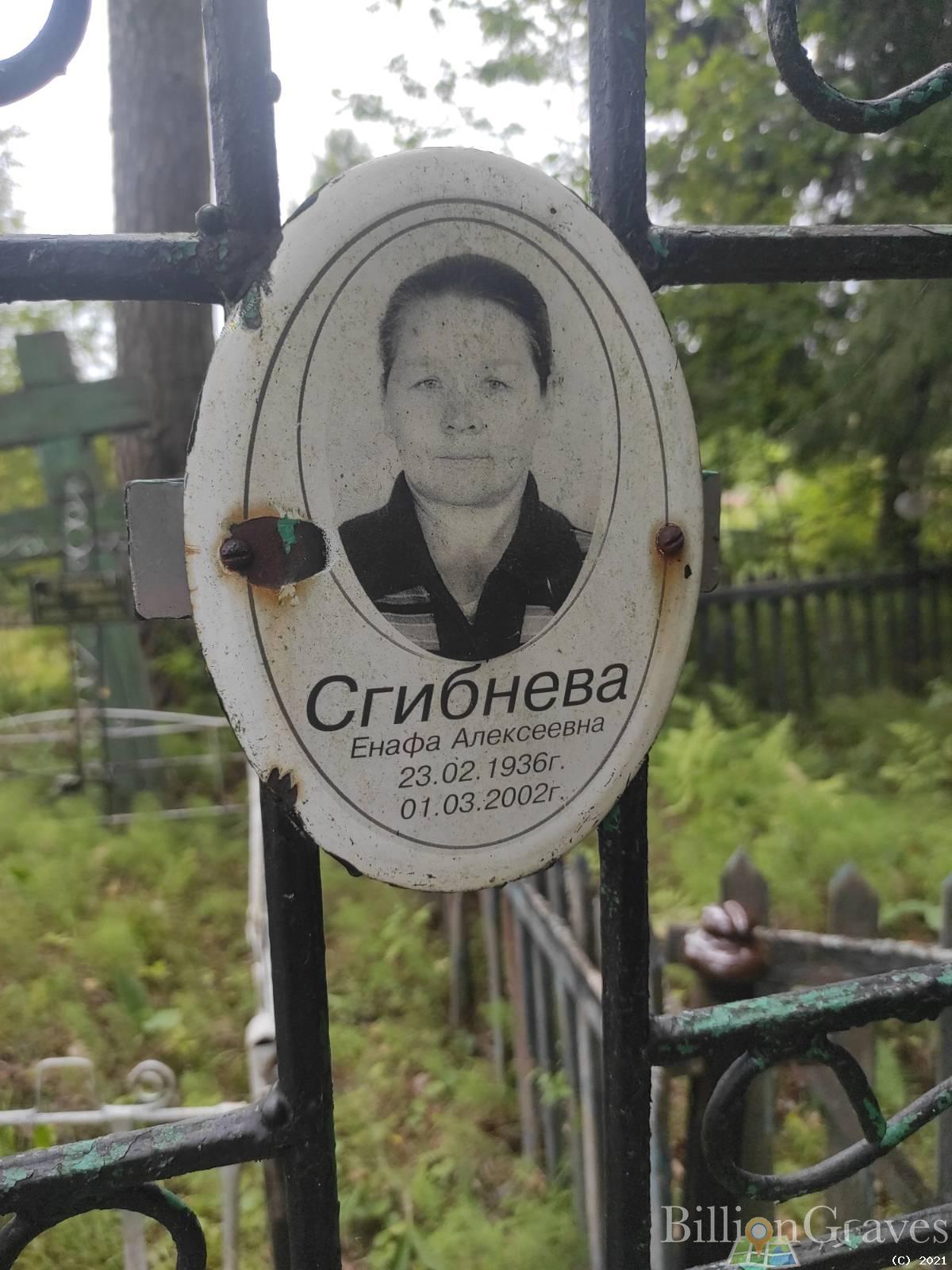 Сгибнева Енафа Алексеевна
