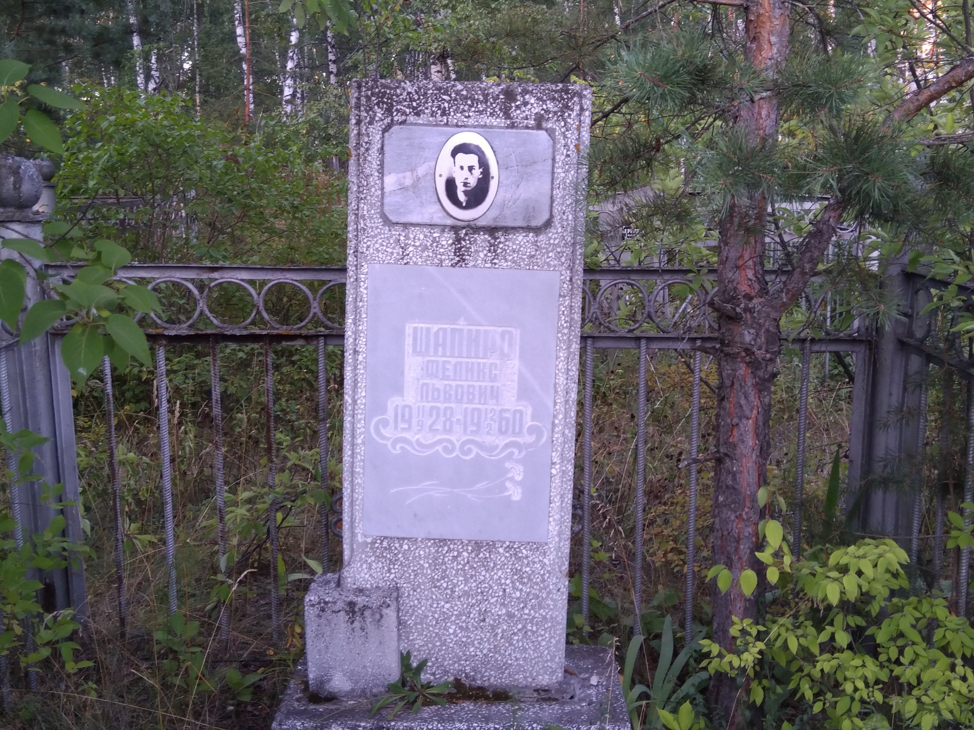 Шапиро Феликс Львович