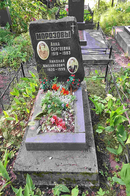 Морозов Николай Михайлович