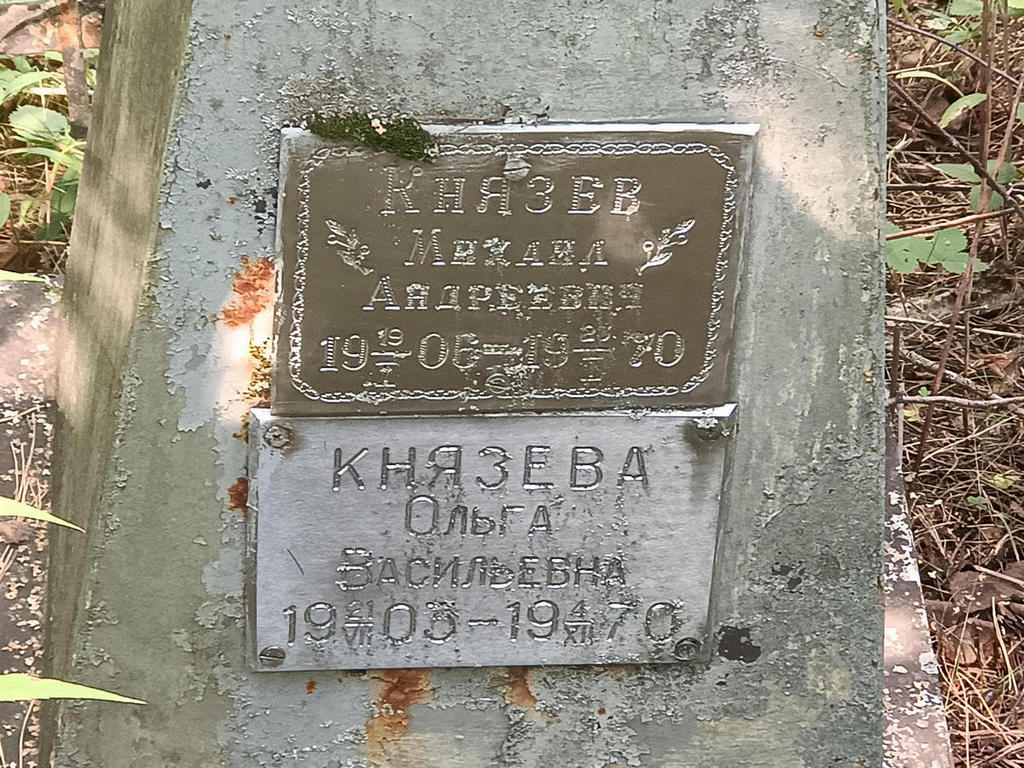 Князева Ольга Васильевна