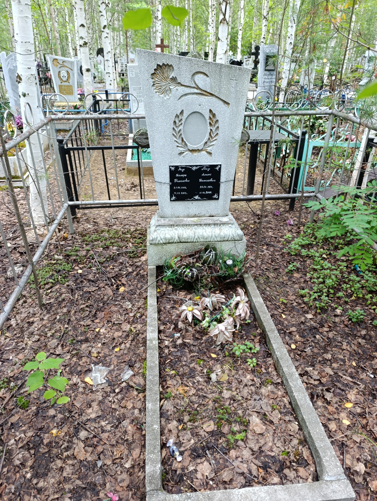Мизь Тамара Николаевна