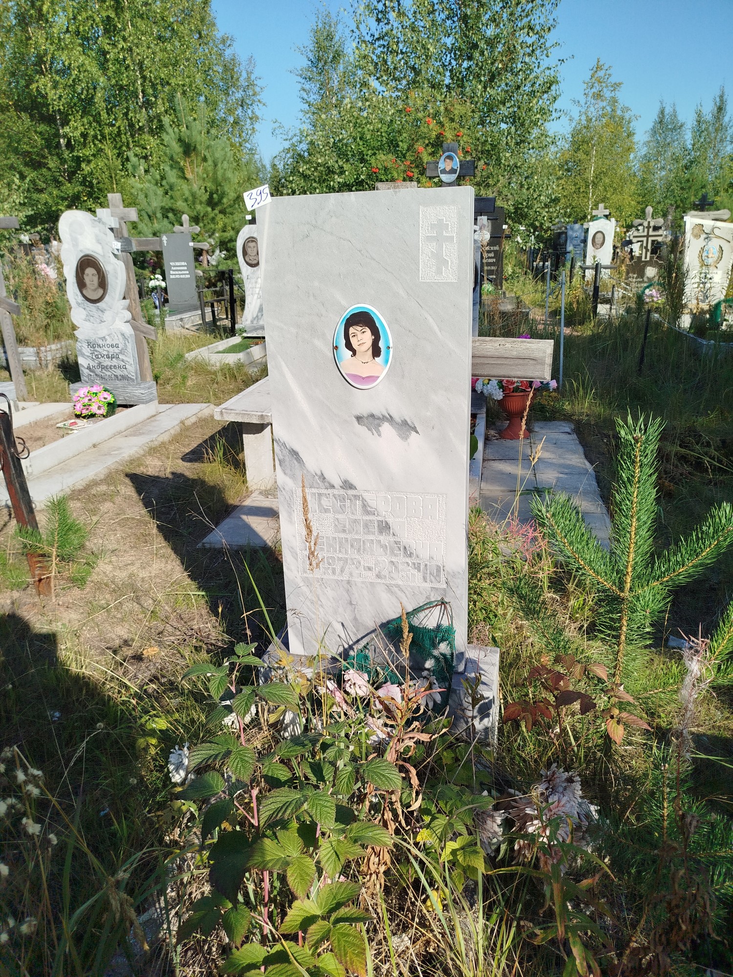 Нестерова Елена Геннадьевна