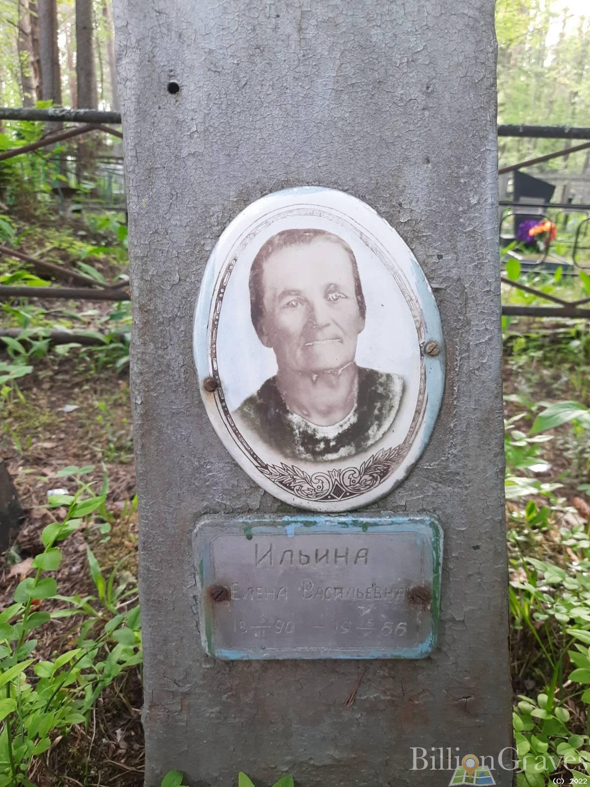 Ильина Елена Васильевна